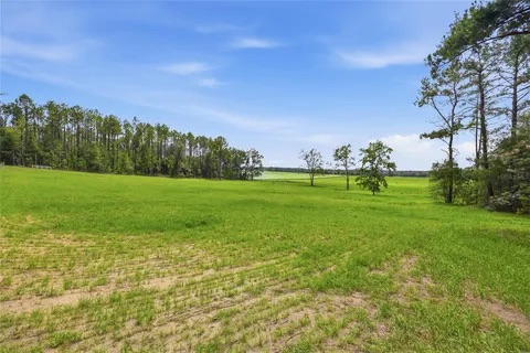 254th Ln Lot 19 Alachua FL 32615 - Img4-w480_h360.jpg